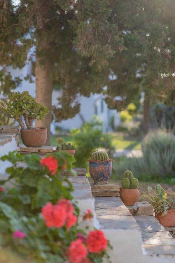 Antonina Hotel Agia Anna  Dış mekan fotoğraf